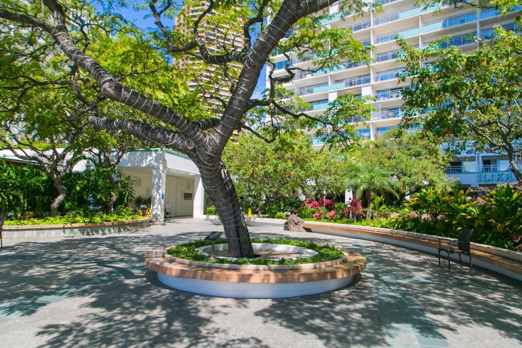 Ilikai Tower 1340 Lagoon View 1Br Honolulu Exterior foto